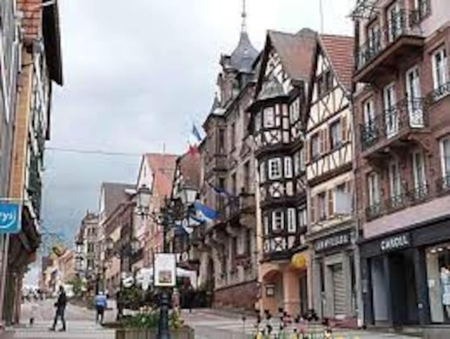 Nature, Charme, Confort, Avec Netflix Et Ps4 Lutzelbourg Exterior foto